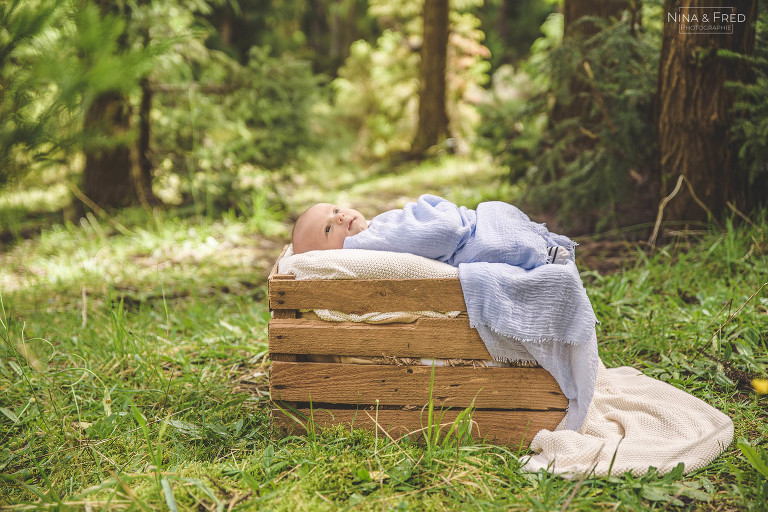 photo de naissance en forêt à la Réunion E&A&A